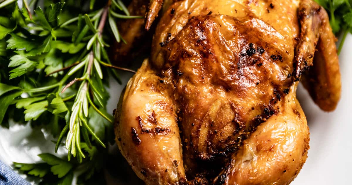 https://foolproofliving.com/wp-content/uploads/2022/12/Airfryer-Cornish-Hen.jpg