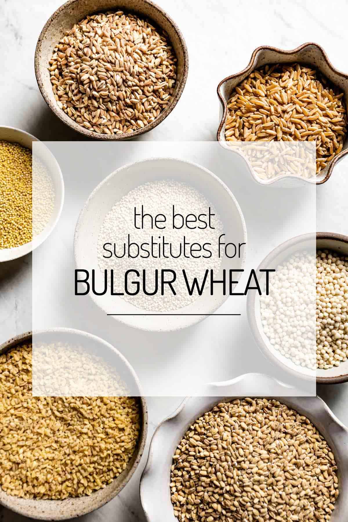 Substitutes for Bulgur Wheat such as barley, millet and quinoa placed in bowls from the top view.