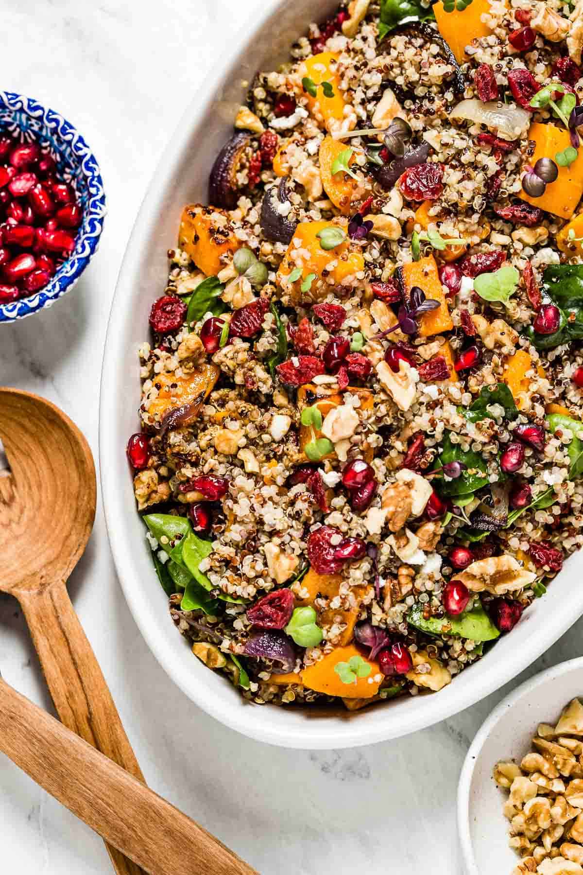 Fall Harvest Quinoa Salad (Gluten Free!)