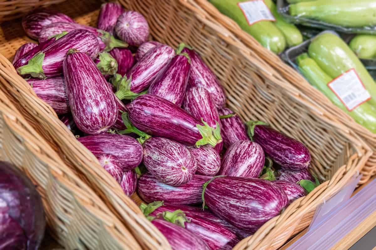 Graffiti round eggplants in the farm stand in a basket.