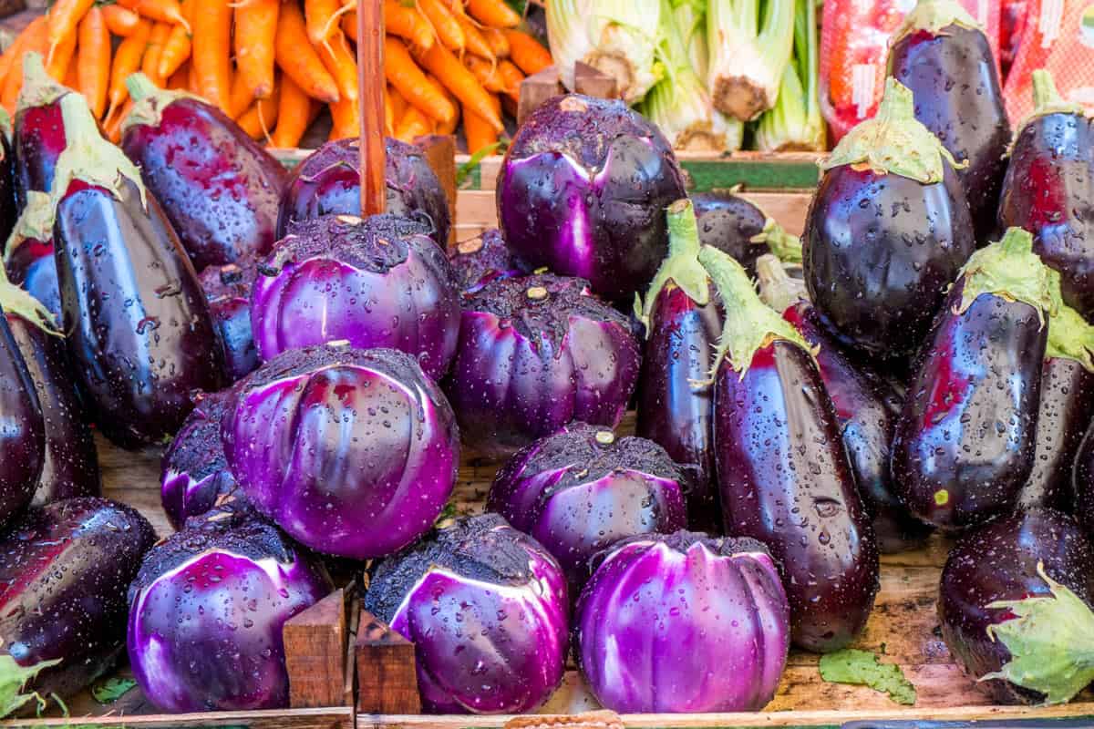 Sicilian eggplants in a farmer's market stand.