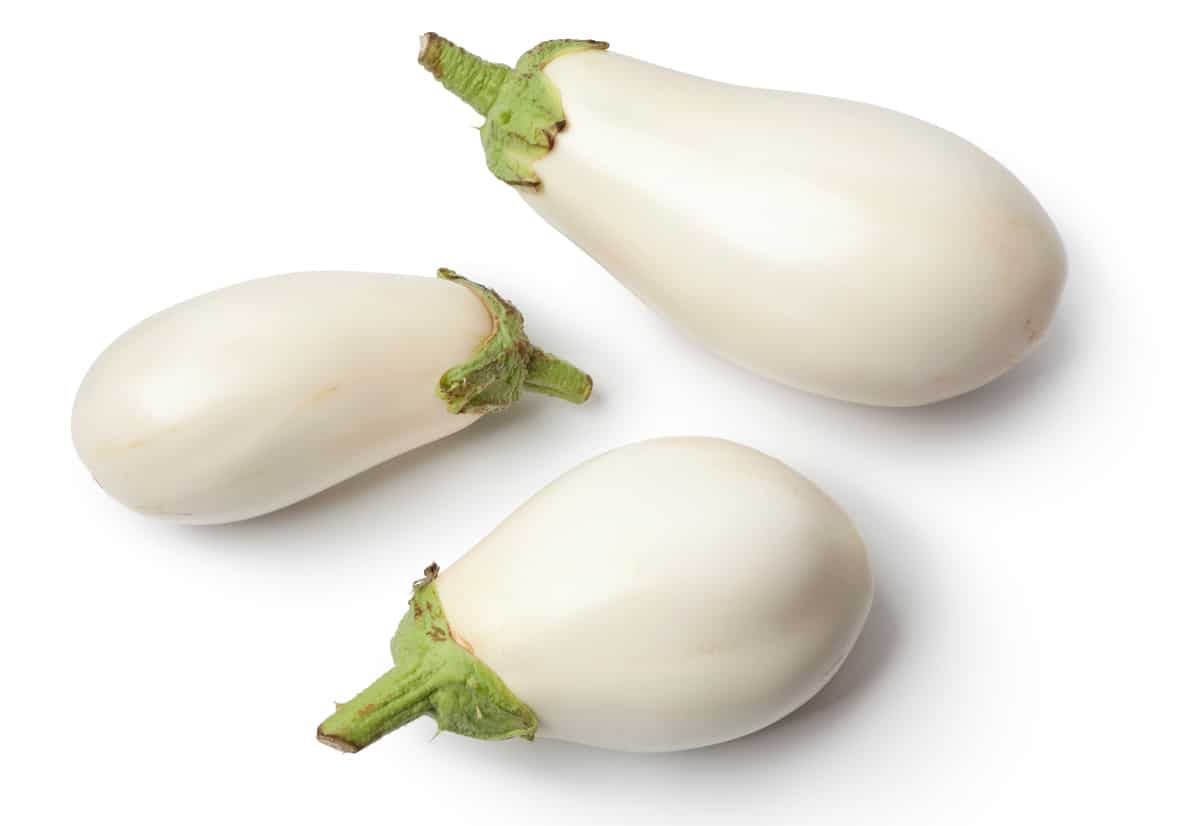 White eggplants on a white backdrop.
