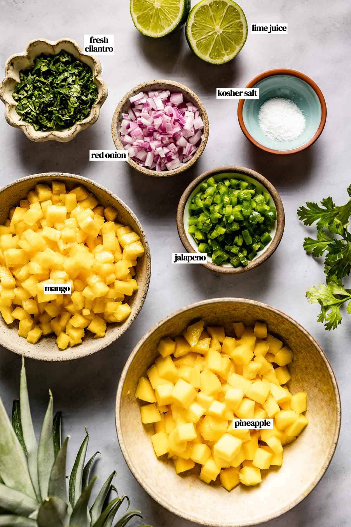 Ingredients for the recipe on a white backdrop with text on each ingredient.