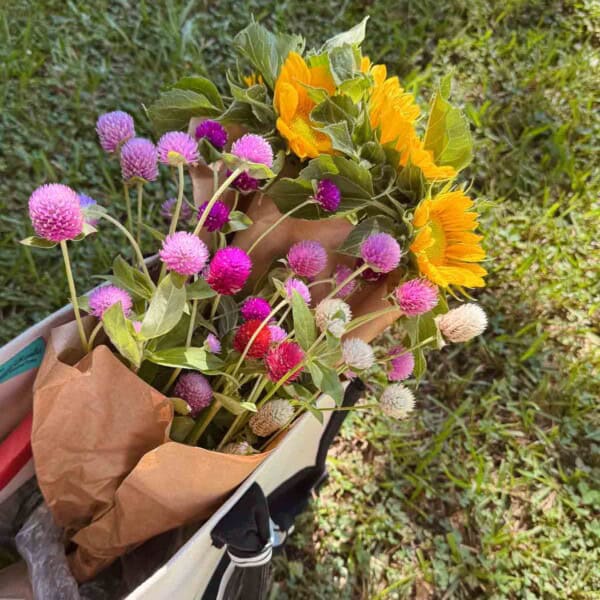 A basket of flowers from the top view.