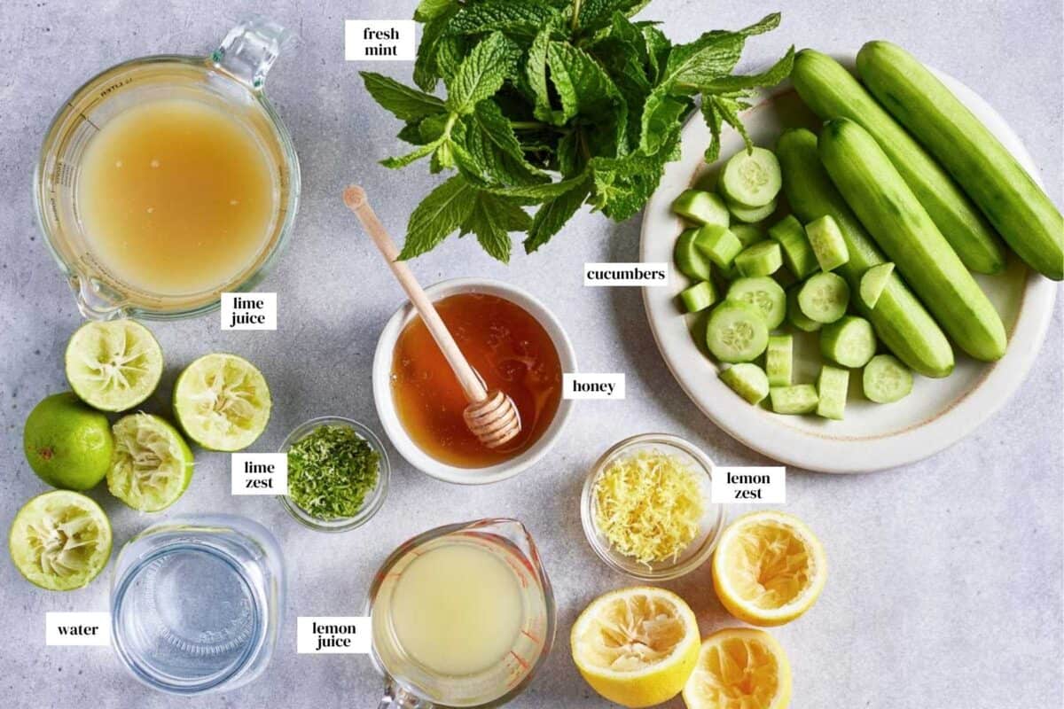 Ingredients for the recipe from the top view with text on the image.