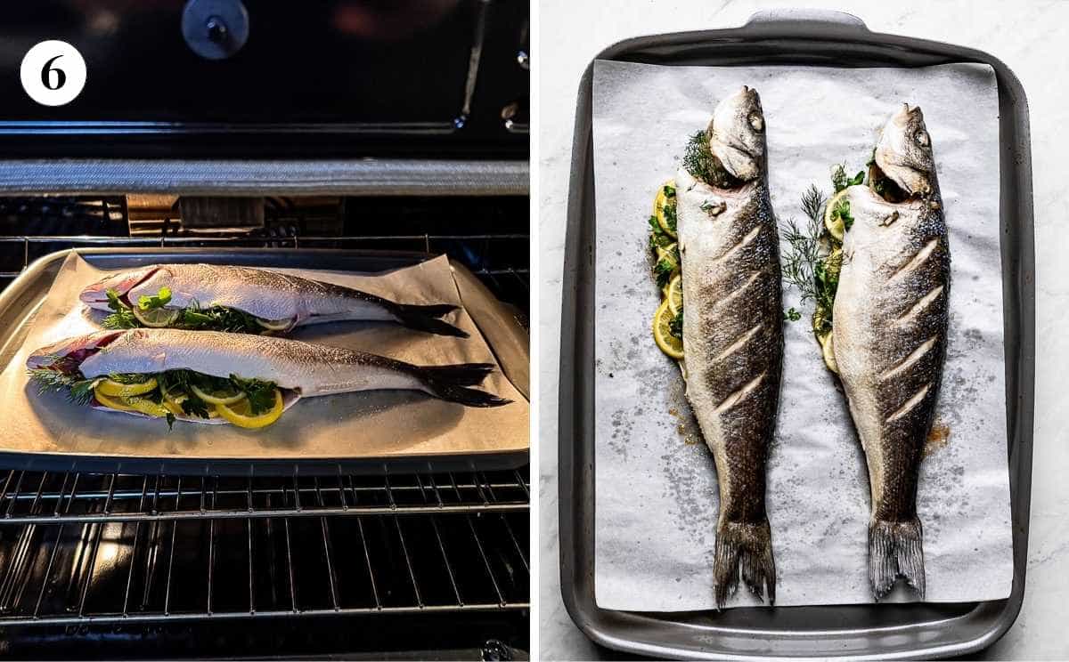 Whole branzino on a parchment lined sheet pan going into the oven and fresh out after roasting.