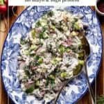 Text overlay "Chicken Tzatziki Salad no mayo & high protein" on an image of the final salad served on a decorative blue and white platter.