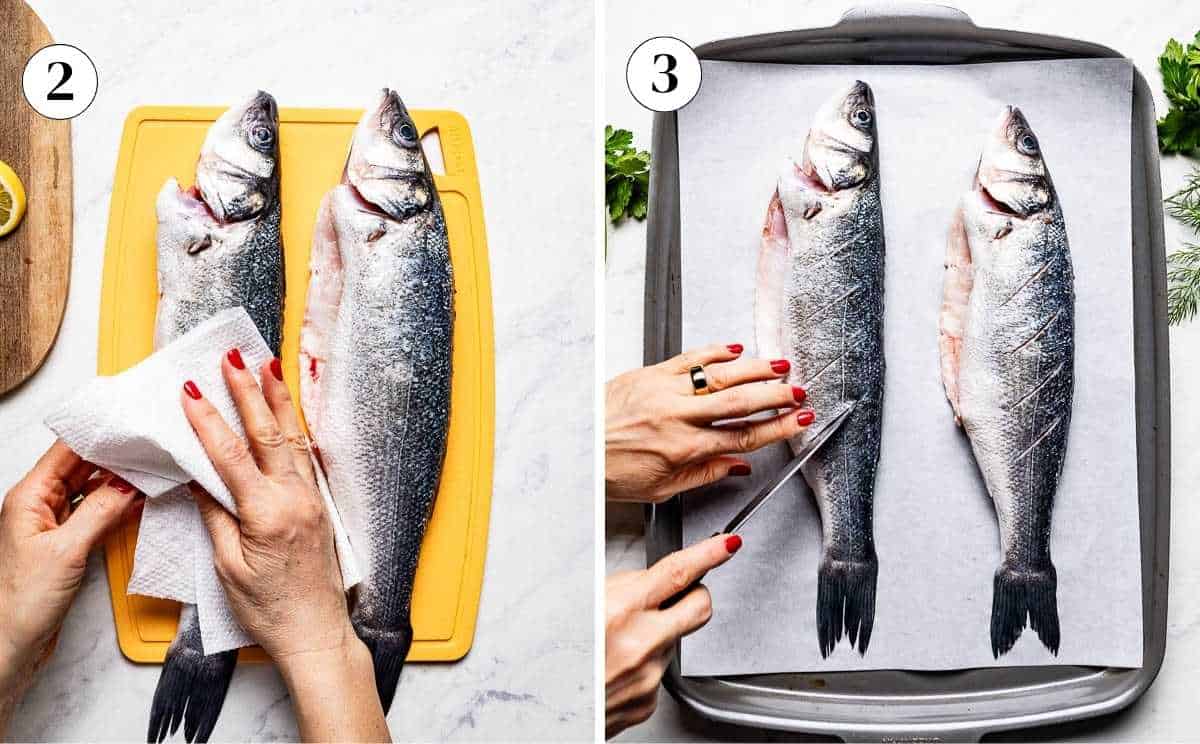 Patting whole branzino dry with paper towels and scoring the skin with a sharp knife on a sheet pan.