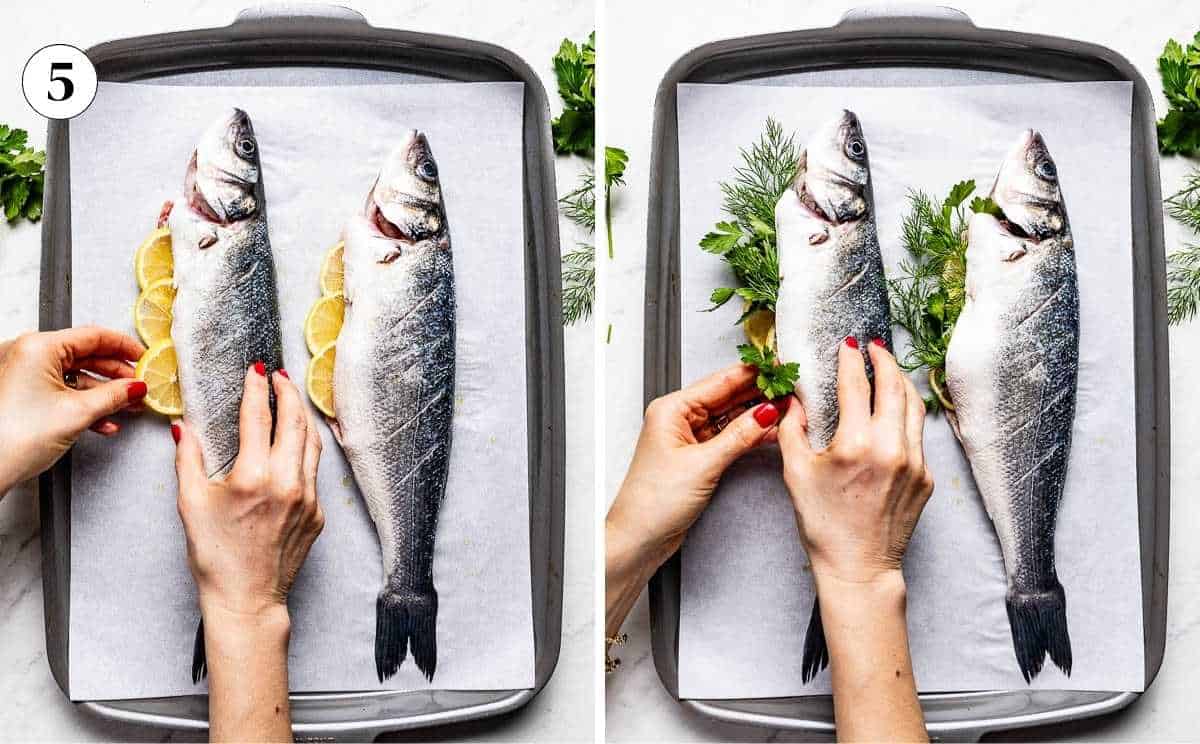 Stuffing whole branzino cavity with thin lemon slices and fresh herbs.