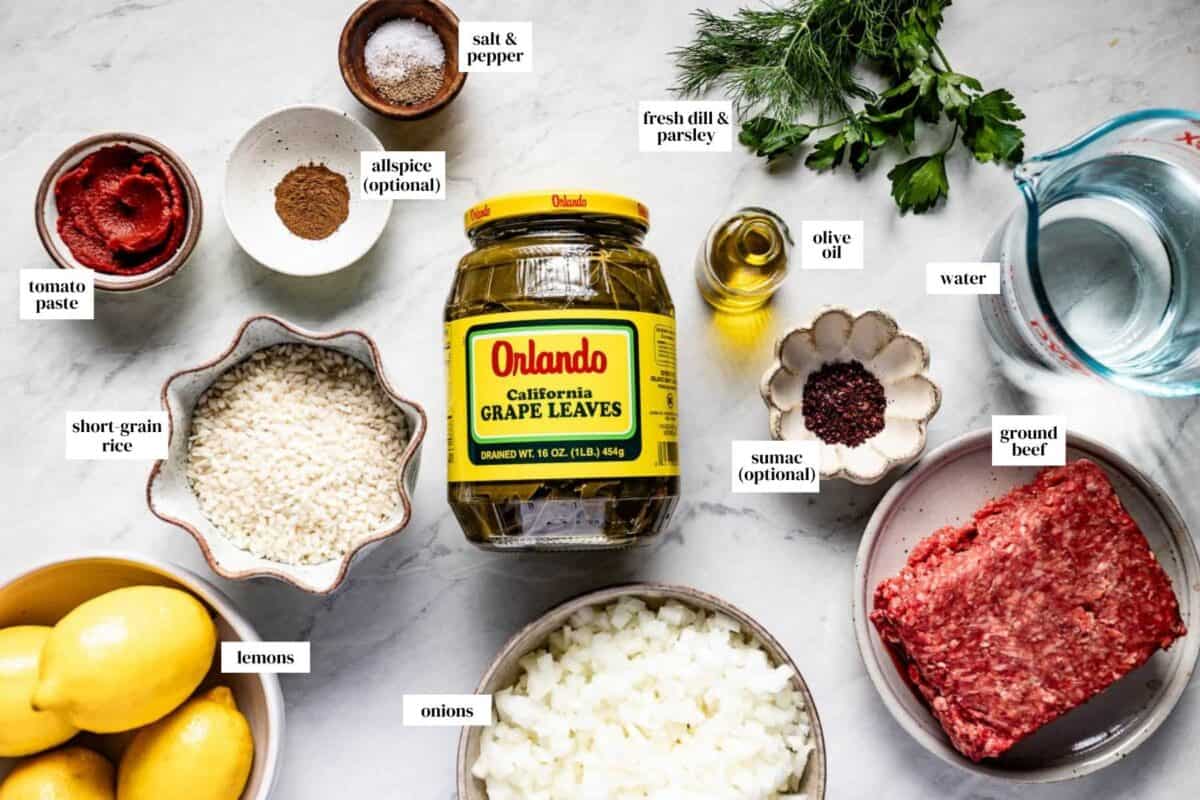 Overhead flat lay of all the ingredients for stuffed grape leaves recipe including jarred grape leaves, ground beef, rice, tomato paste, fresh dill, parsley, onion, olive oil, and lemons.