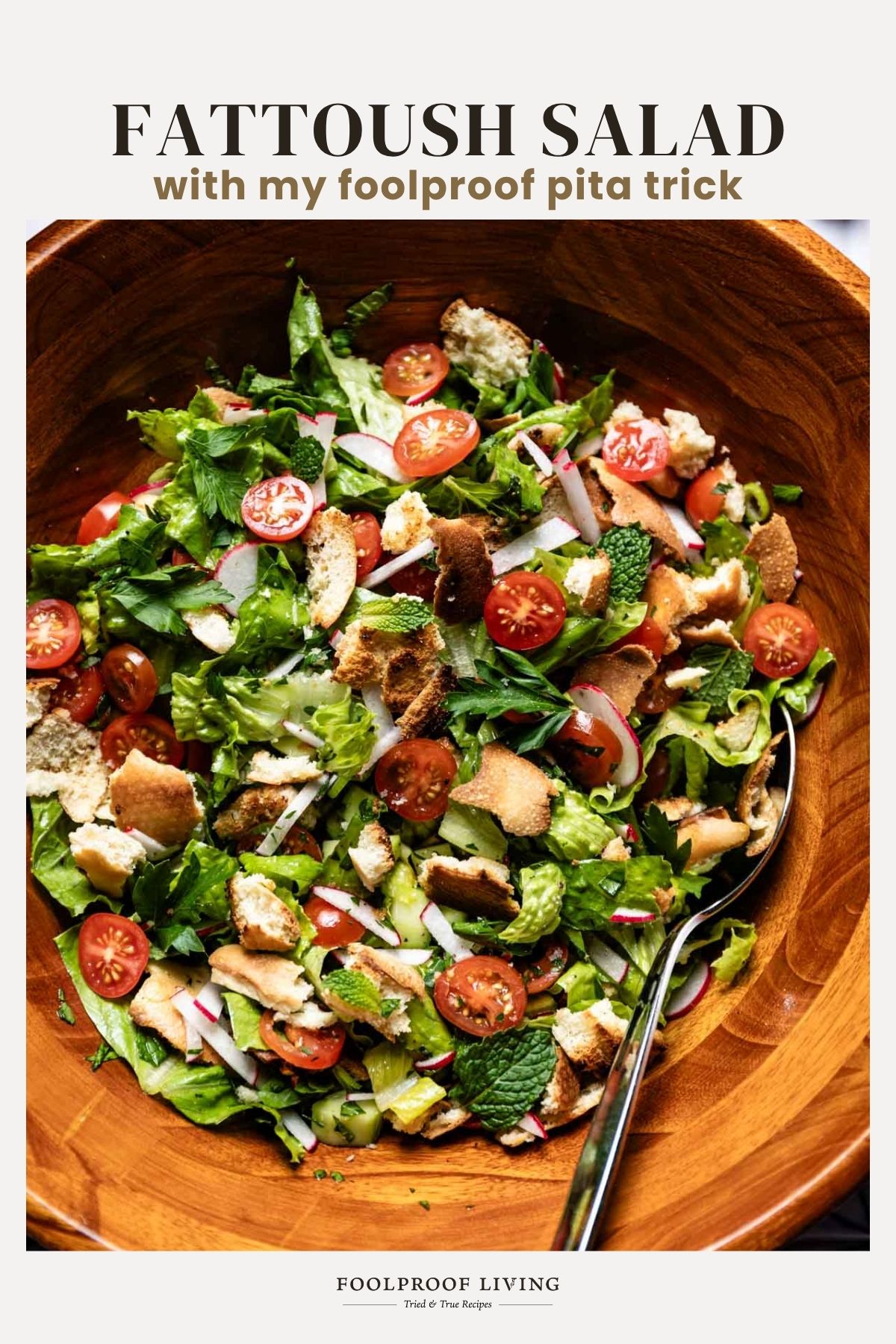 Fattoush Salad Recipe - Foolproof Living