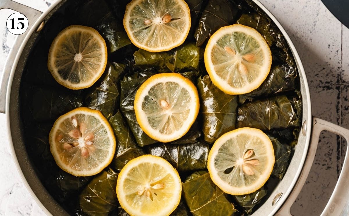Cooked vegetarian stuffed leaves with sliced lemons from the top view.