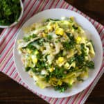 Zucchini Fettuchine with Kale - A vegan and gluten free summer recipe made with zucchini and kale.